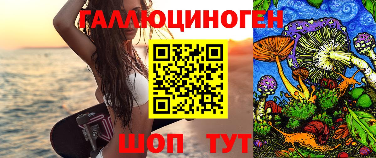 Галлюциногенные грибы Psilocybe  Галлюциногенные грибы MAGIC MUSHROOMS  Вход с VPN  Краснознаменск 
